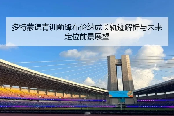 多特蒙德青训前锋布伦纳成长轨迹解析与未来定位前景展望